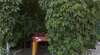 Гостевой дом Guesthouse Malinkin Анапа-5