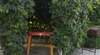 Гостевой дом Guesthouse Malinkin Анапа-7
